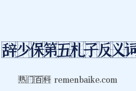 辞少保第五札子反义词是什么意思的图片